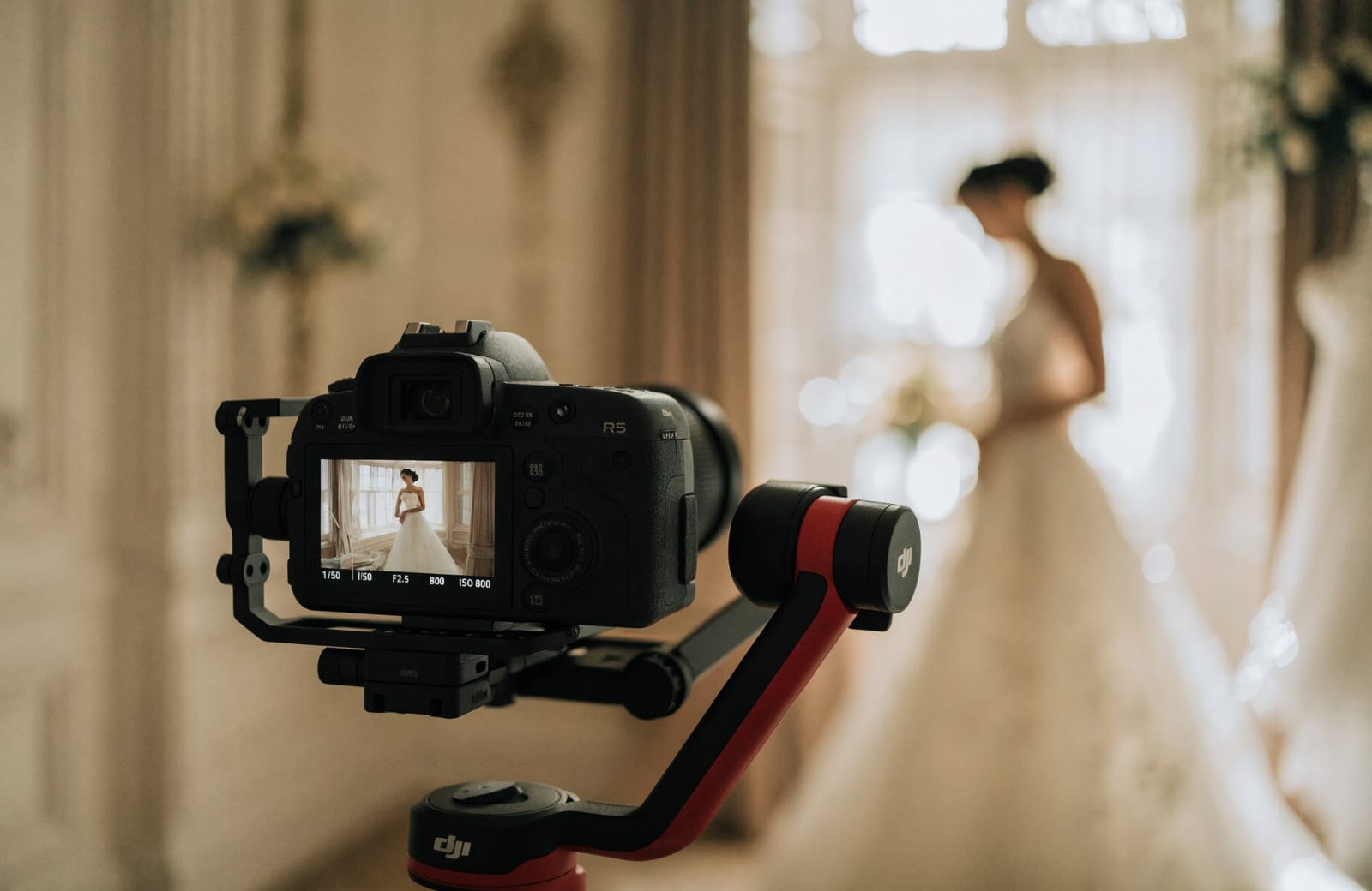 Videography in Wellington by Andy Barker